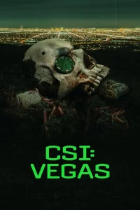 Les Experts : Vegas - Saison 1